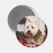 Carson - West Highland Terrier - Rovine Magnet (Vorderseite/Rückseite)