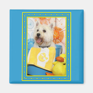Carson - Westhochland Terrier -6 Magnet