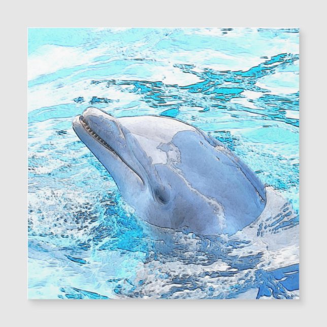 CArt Dolphin Magnetkarte (Vorderseite)