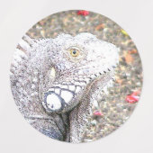 CArt Iguana Etiketten (Design 1)