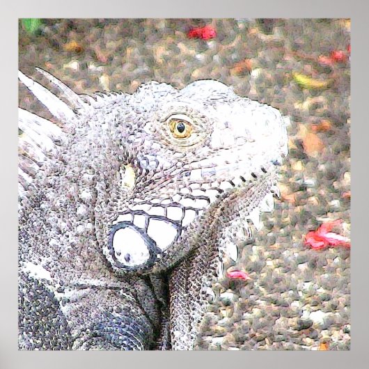 CArt Iguana Poster (Vorne)