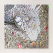 CArt Iguana Puzzle (Horizontal)