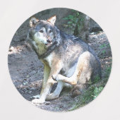 CArt Wolf Etiketten (Design 2)