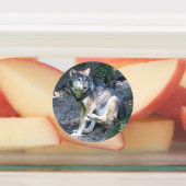 CArt Wolf Etiketten (Befestigt)