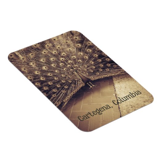Cartagena, Kolumbien Magnet (Rechte Seite)