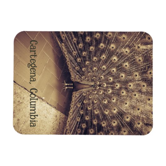 Cartagena, Kolumbien Magnet (Horizontal)