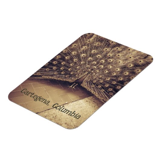 Cartagena, Kolumbien Magnet (Linke Seite)