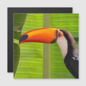 Cartão maagnético com design Tucano Magnetkarte (Vorne/Hinten)