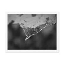 Cartão Postal - Folha teia (Nº 1)