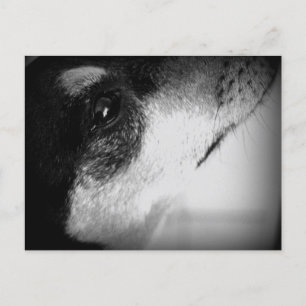 Cartão Postal: Thor Postkarte