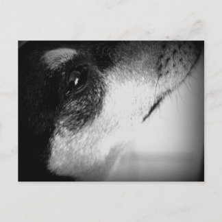 Cartão Postal: Thor Postkarte