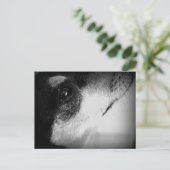 Cartão Postal: Thor Postkarte (Stehend Vorderseite)