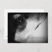 Cartão Postal: Thor Postkarte (Vorne/Hinten)