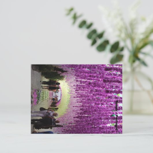 Cartão postal Tomar Postkarte (Stehend Vorderseite)