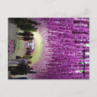 Cartão postal Tomar Postkarte