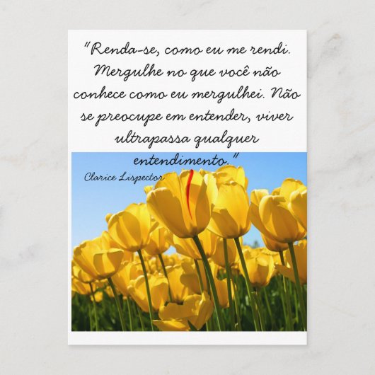 Cartão Postal - Tulipas - Clarice Lispector Postkarte (Vorderseite)