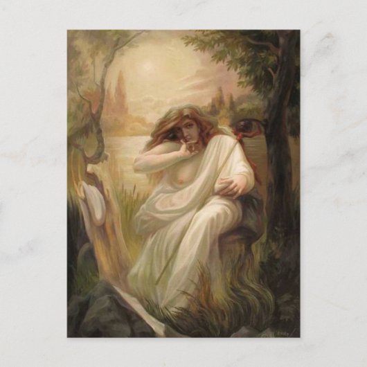 Carte-Illusion 3 Postkarte (Vorderseite)