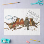 Carte Postale Bird European Robins Französisch Vin Seidenpapier (Basteln)