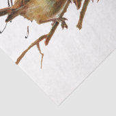 Carte Postale Bird European Robins Französisch Vin Seidenpapier (Detail)