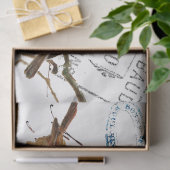 Carte Postale Bird European Robins Französisch Vin Seidenpapier (Geschenk)