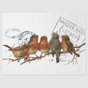Carte Postale Bird European Robins Französisch Vin Seidenpapier