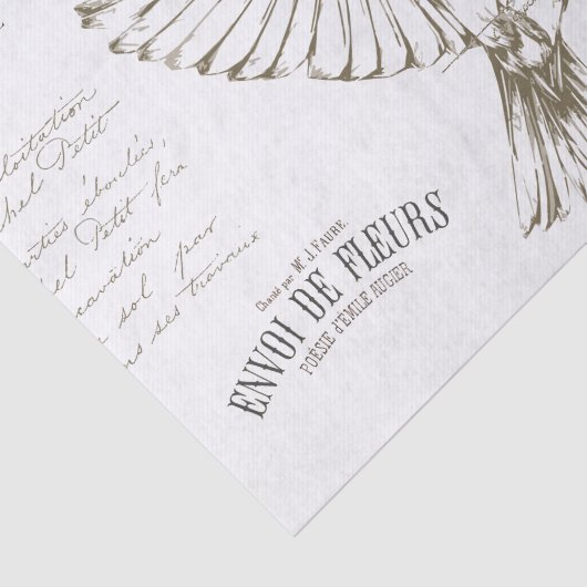 Carte Postale Bird Französisches Drehbuch Sepia Seidenpapier (Ausschnitt)