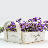 Carte Postale Bird Französisches Drehbuch Sepia Seidenpapier