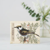 Carte Postale Bird Set 2 von 4 (Paris Rose Bird) Postkarte (Stehend Vorderseite)
