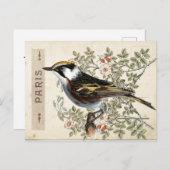 Carte Postale Bird Set 2 von 4 (Paris Rose Bird) Postkarte (Vorne/Hinten)