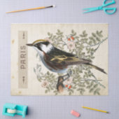 Carte Postale Bird Set 2 von 4 (Paris Rose Bird) Seidenpapier (Basteln)