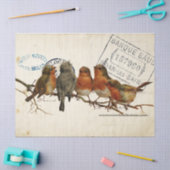 Carte Postale Bird Set 3 von 4 europäischen Robins Seidenpapier (Basteln)