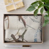 Carte Postale Bird Set 3 von 4 europäischen Robins Seidenpapier (Geschenk)