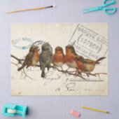 Carte Postale Bird Set 3 von 4 europäischen Robins Seidenpapier (Basteln)