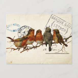 Carte Postale Bird Set 3 von 4 (European Robins) Postkarte