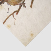 Carte Postale Bird Set 3 von 4 (European Robins) Seidenpapier (Detail)