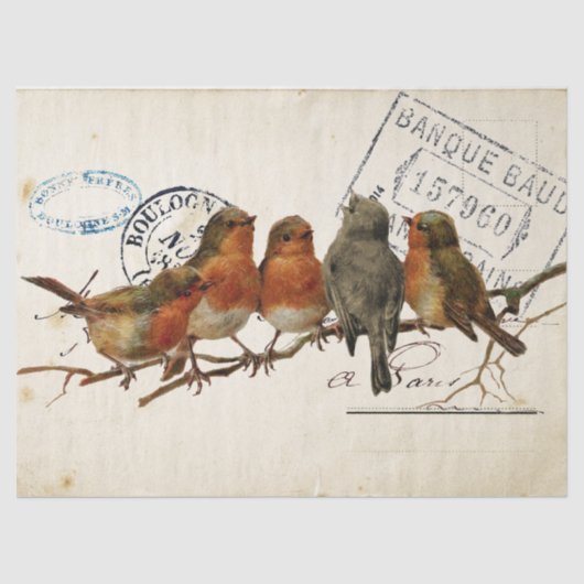 Carte Postale Bird Set 3 von 4 (European Robins) Seidenpapier (Vorderseite)