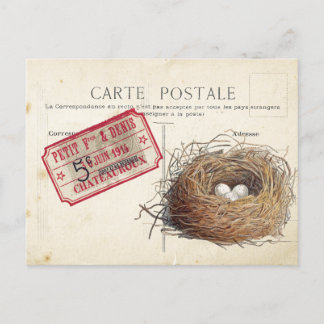 Carte Postale Bird Set 4 von 4 (Vogel's Nest Ticke Postkarte