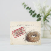 Carte Postale Bird Set 4 von 4 (Vogel's Nest Ticke Postkarte (Stehend Vorderseite)