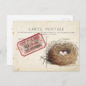 Carte Postale Bird Set 4 von 4 (Vogel's Nest Ticke Postkarte (Vorne/Hinten)