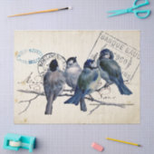 Carte Postale Blue Bird Chickadee Frankreich Postm Seidenpapier (Basteln)