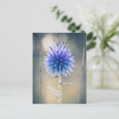 Carte postale Chardon bleu Postkarte (Stehend Vorderseite)