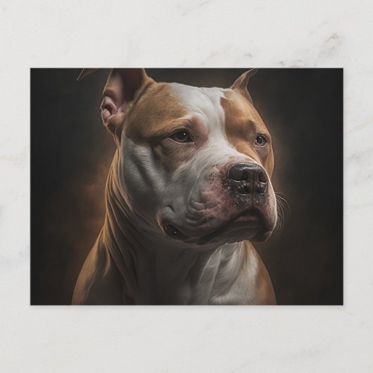Carte Postale Chien Divers Postkarte (Vorderseite)