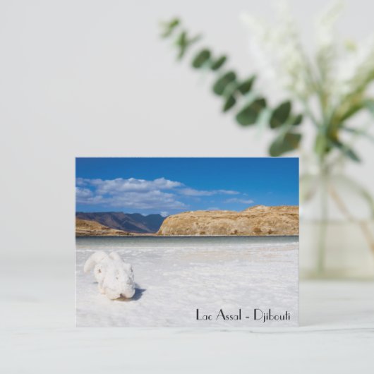 Carte postale Djibouti Postkarte (Stehend Vorderseite)