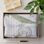 Carte Postale Dragonfly Französisch Drehbuch Vinta Seidenpapier (Geschenk)