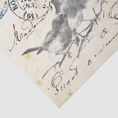 Carte Postale Französischer Songbirds auf einer Zw Seidenpapier (Ausschnitt)