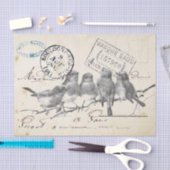 Carte Postale Französischer Songbirds auf einer Zw Seidenpapier (Handwerk)