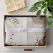 Carte Postale French Bird Nest and Eggs Set Seidenpapier (Geschenk)