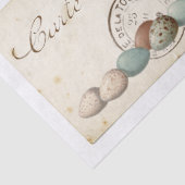 Carte Postale French Bird Nest and Eggs Set Seidenpapier (Detail)