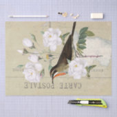 Carte Postale French Bird White Rose Decoupage Seidenpapier (Handwerk)