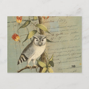 Carte postale hibou postkarte
